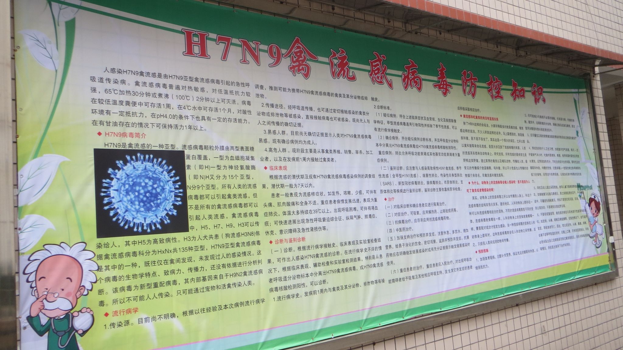 H7N9禽流感防控宣传